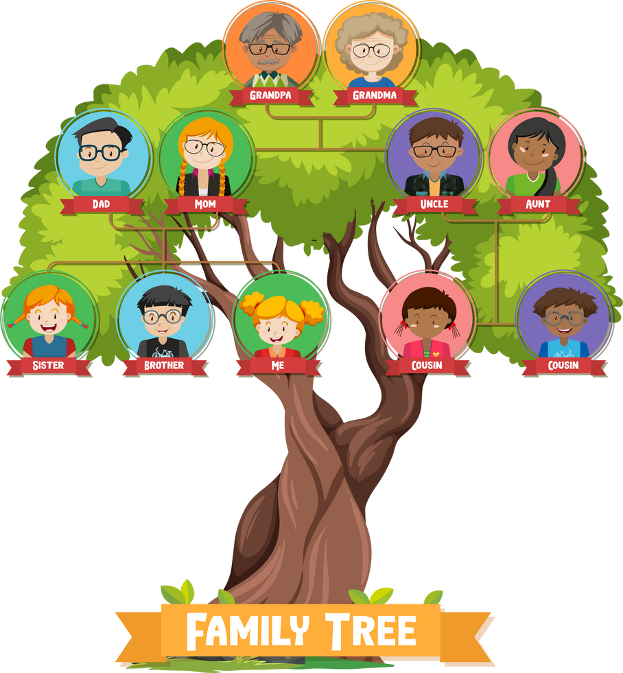 Diagram showing three generation  tree